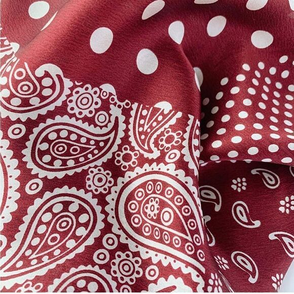 Red Dot and Paisley Mulberry Silk Neck Scarf